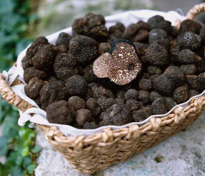 Some truffles found in Asti