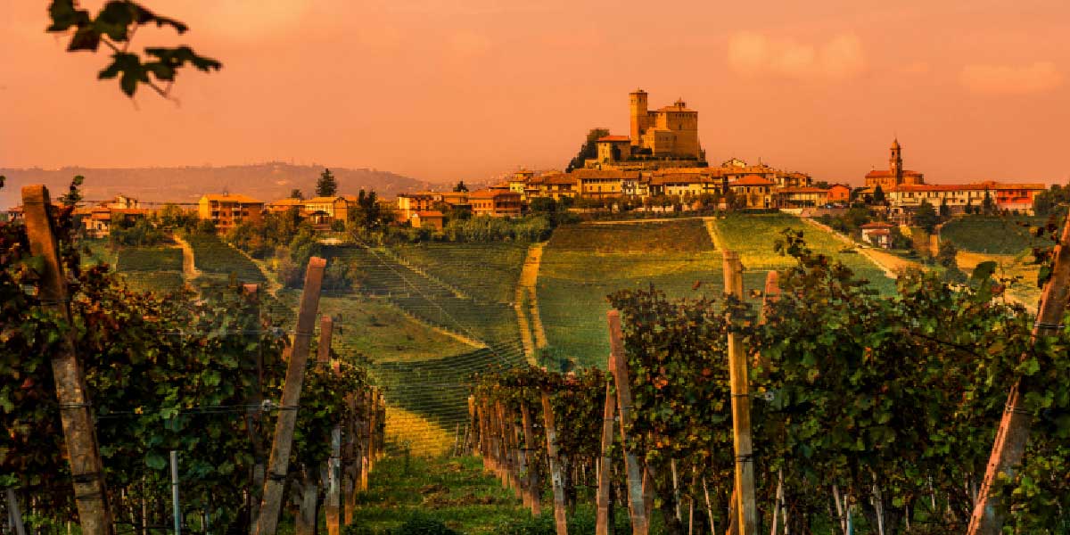 Best things to do in Barolo