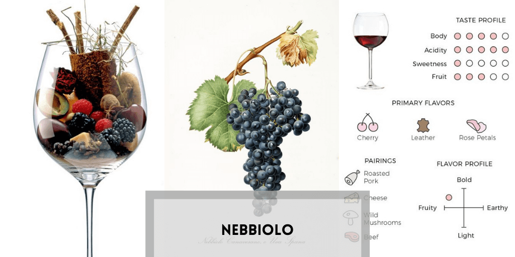 Barolo Wine Tasting Notes