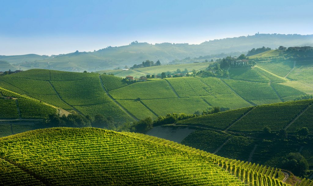 What are the 11 towns of Barolo?