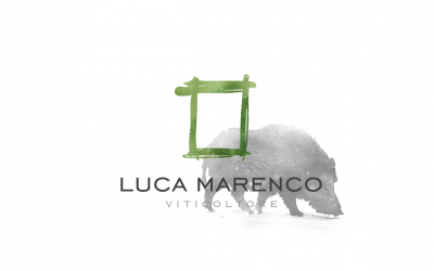 How to plan a tour at Luca Marenco cantina?