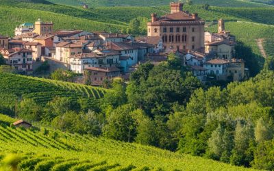 when to visit barolo