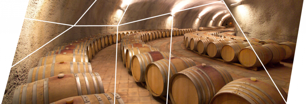Barolo Elio Grasso - Wine tasting experiece