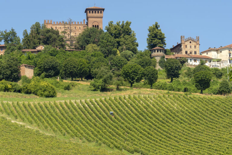 monferrato wine tours