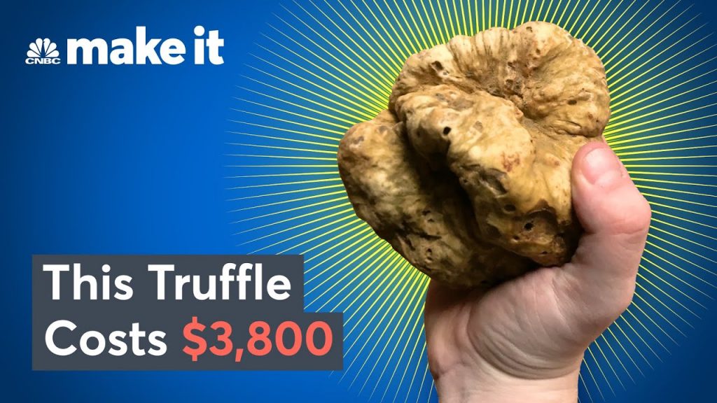 Truffle Varieties Around the World