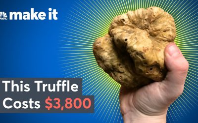 Truffle Varieties Around the World