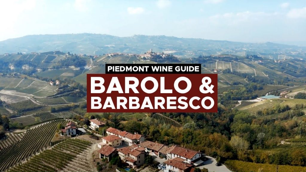 Barolo wine guide
