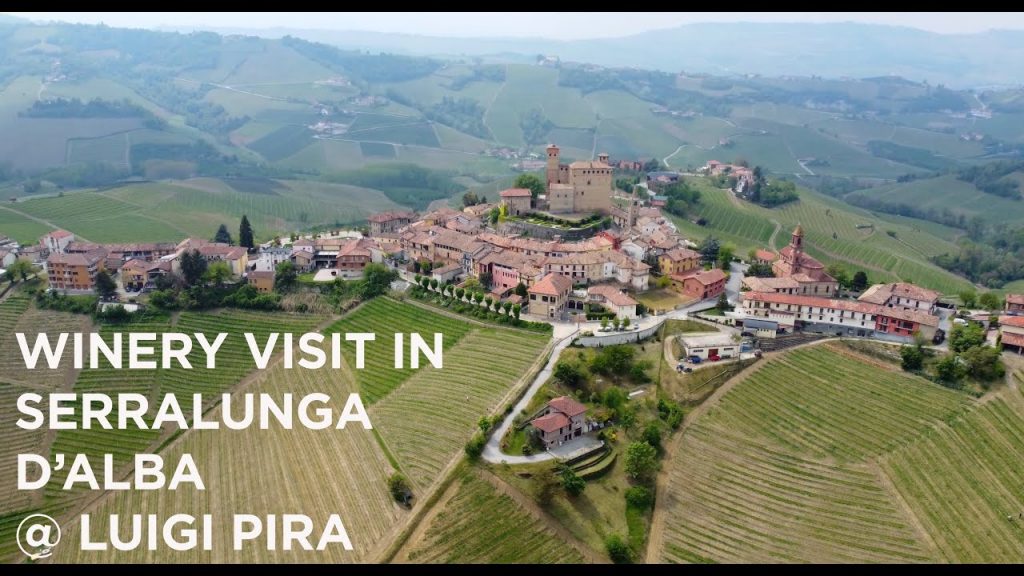 What should I expect from a wine tour in Alba and Barolo?