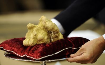 Macau Casino Magnate Buys Truffles for $330,000