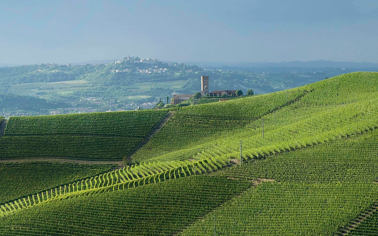 Best Times to Visit Langhe, Roero and Monferrato