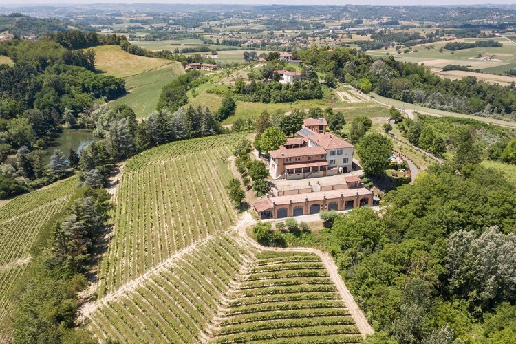 Investing in vineyard in Monferrato