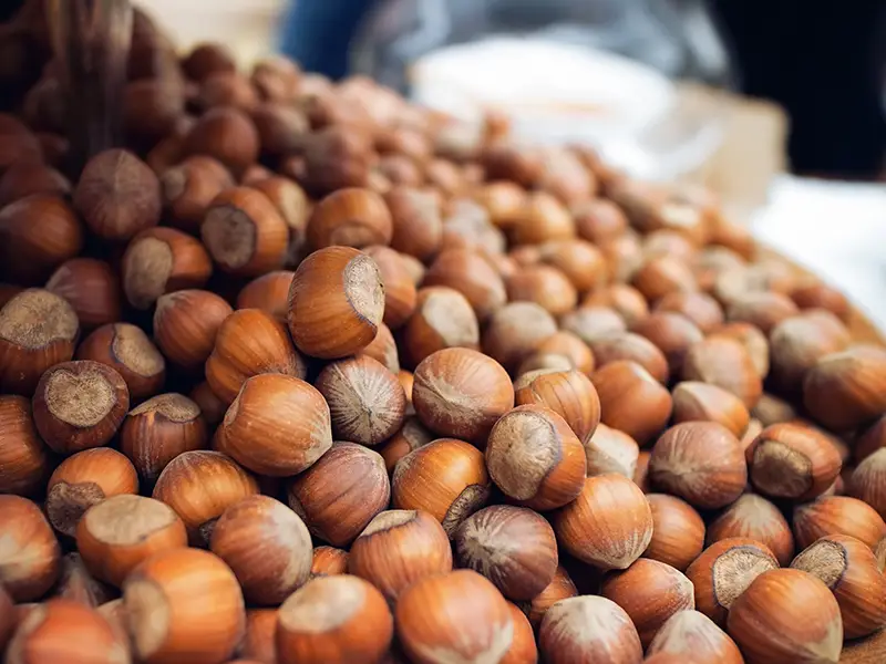 Hazelnuts from Piedmont 