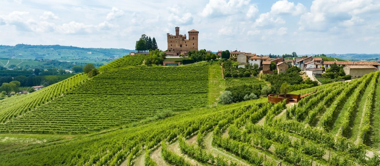 The Vineyards of Monferrato