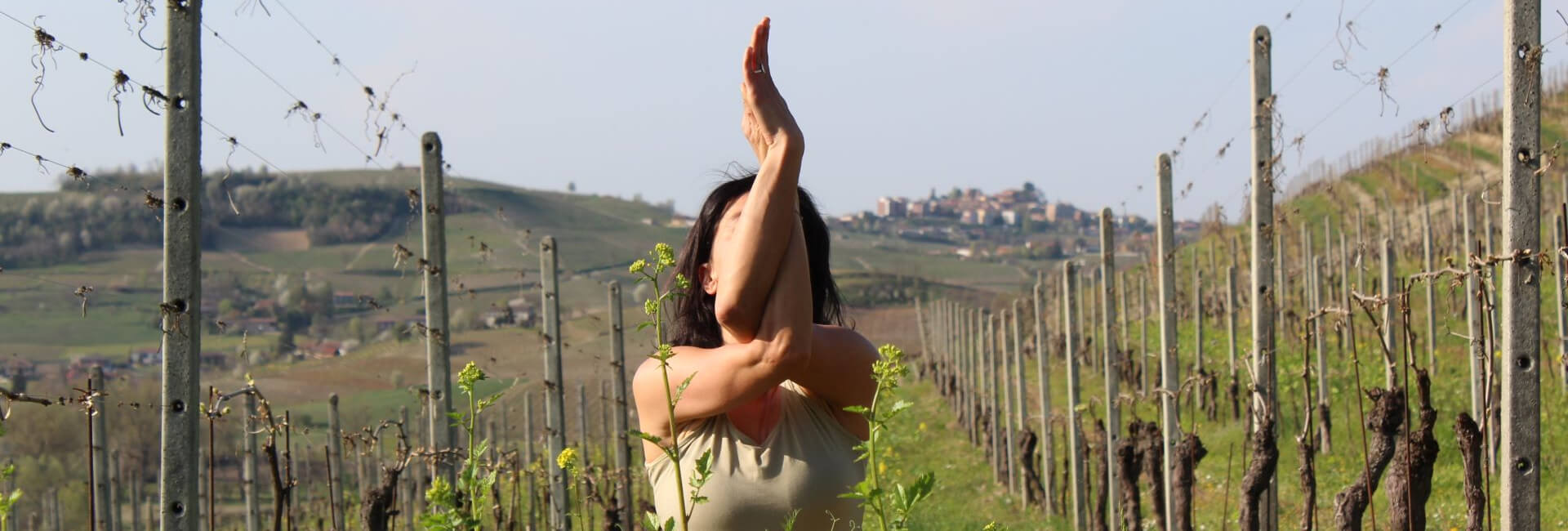 How Does Yoga in Vineyards Work?