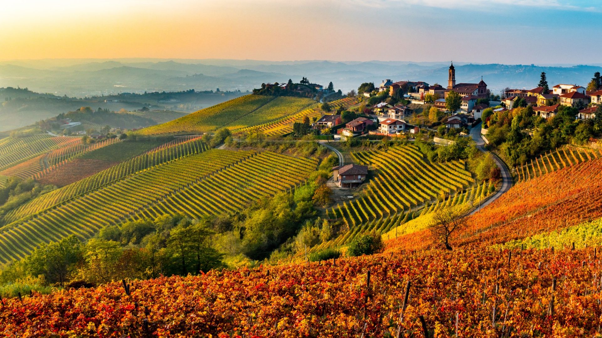 The Vineyards of Langhe