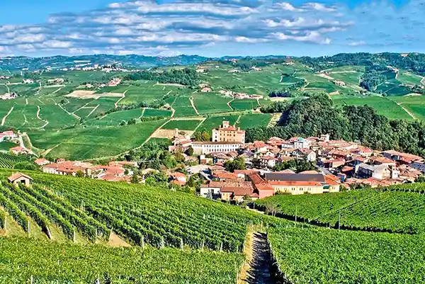 Wine Tourism in Langhe