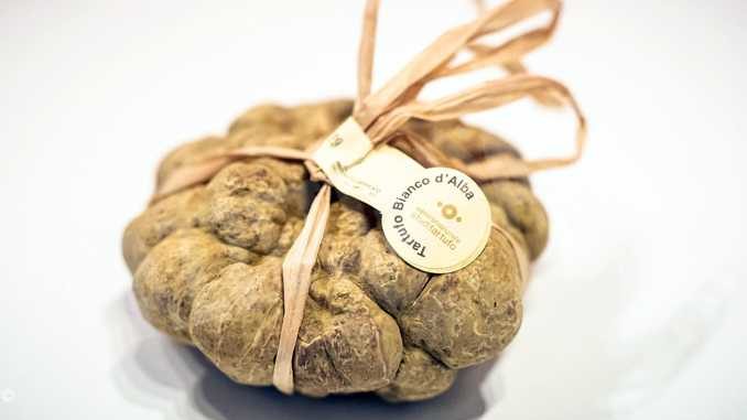 most expensive white truffle 