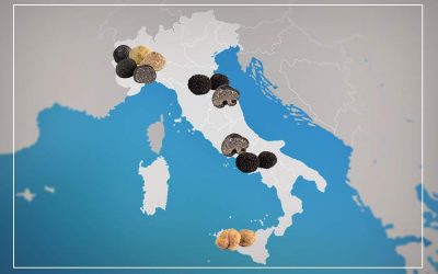 italy best for truffle hunting